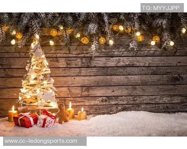 费兰勇敢挑战寒冬晒雪中赤身照庆祝圣诞节欢乐时刻 费兰勇敢挑战寒冬晒雪中赤身照庆祝圣诞节欢乐时刻